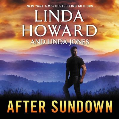 After sundown : a novel