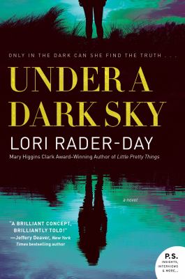 Under a dark sky : a novel