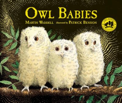 Owl babies