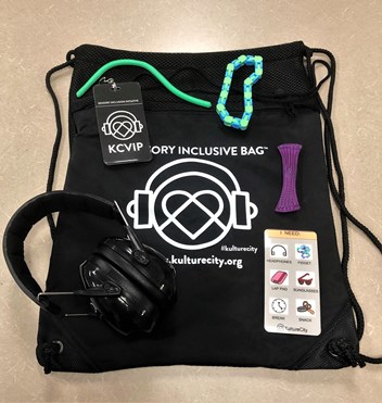 Sensory inclusive bag