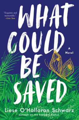 What could be saved : a novel