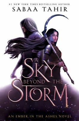 A sky beyond the storm : a novel