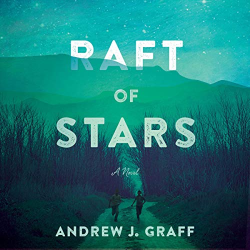 Raft of stars : a novel