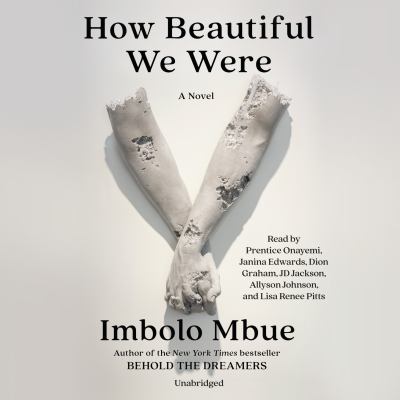 How beautiful we were : a novel
