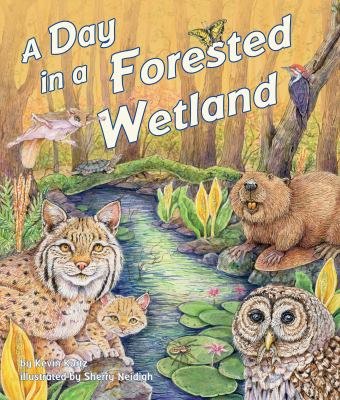 A day in a forested wetland