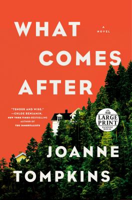 What comes after : a novel