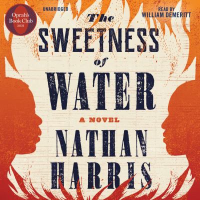 The sweetness of water : a novel