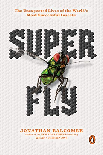 Super fly : the unexpected lives of the world's most successful insects