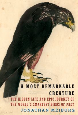 A most remarkable creature : the hidden life and epic journey of the world's smartest birds of prey