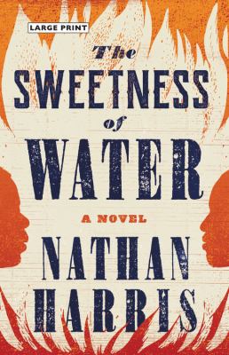 The sweetness of water : a novel