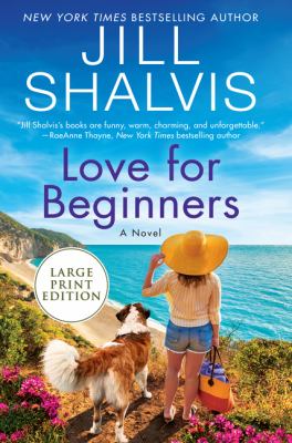 Love for beginners : a novel