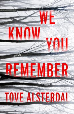 We know you remember : a novel