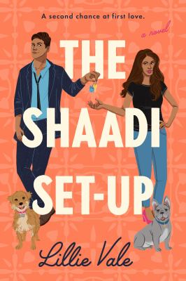The Shaadi set-up : a novel