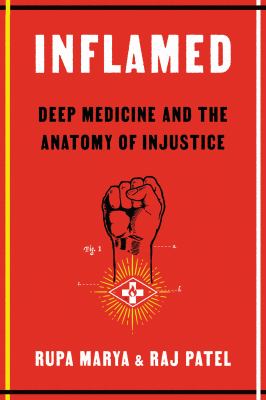 Inflamed : deep medicine and the anatomy of injustice