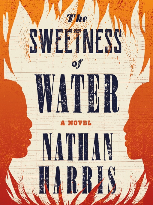 The sweetness of water : A novel.