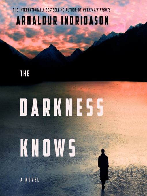 The darkness knows : A novel.