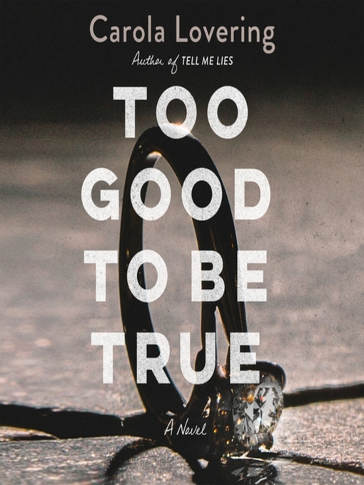 Too good to be true : A novel.