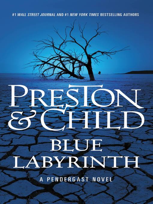 Blue labyrinth : Pendergast series, book 14.