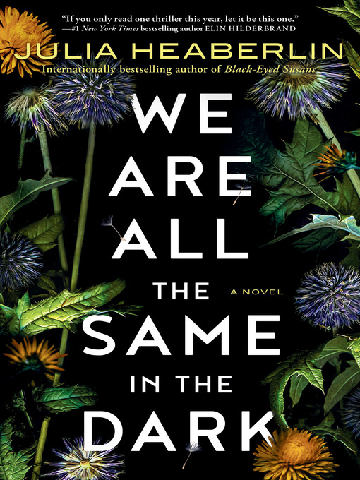 We are all the same in the dark : A novel.