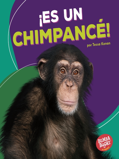 Â¡es un chimpancÃ©! (it's a chimpanzee!)