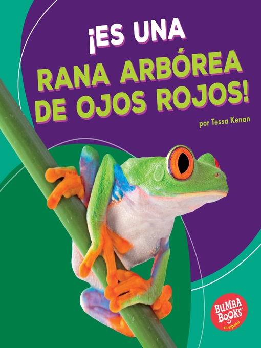Â¡es una rana arbÃ³rea de ojos rojos! (it's a red-eyed tree frog!)