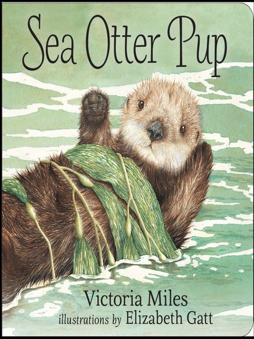 Sea otter pup read-along