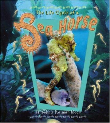 The life cycle of a sea horse