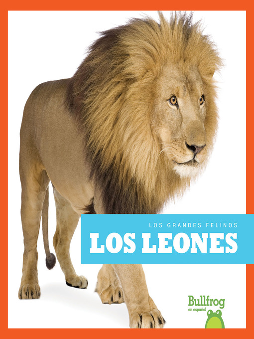 Los leones (lions)