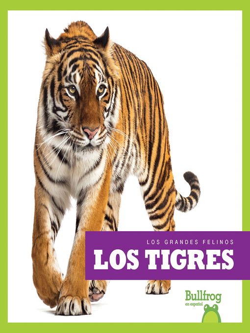 Los tigres (tigers)