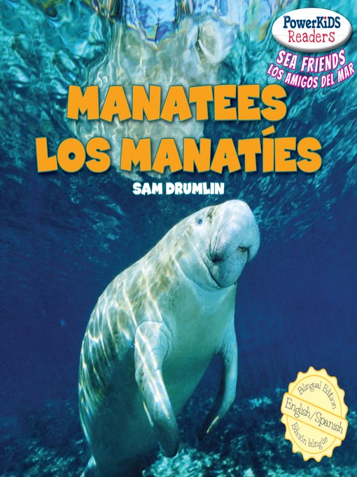 Manatees / los manatÃ­es