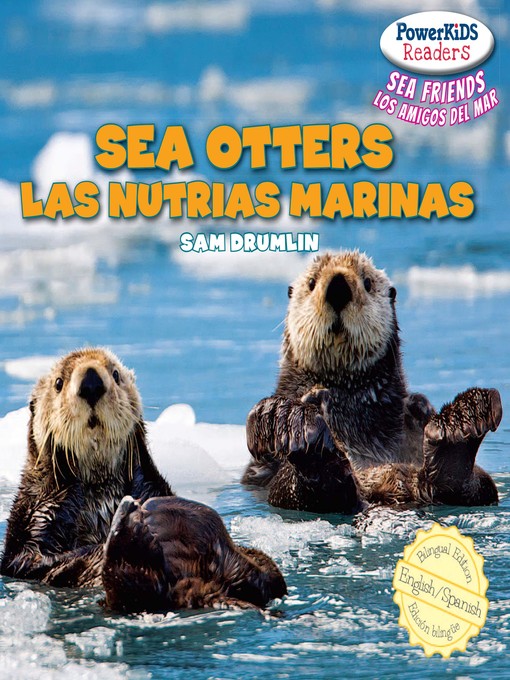 Sea otters / las nutrias marinas