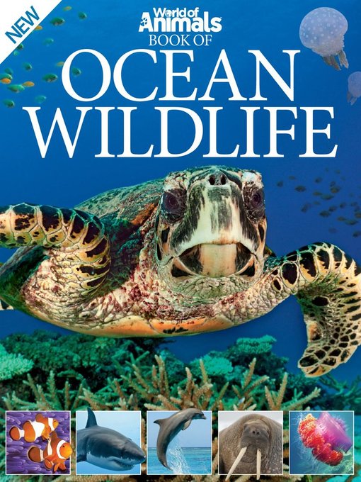 World of animals book of ocean wildlife