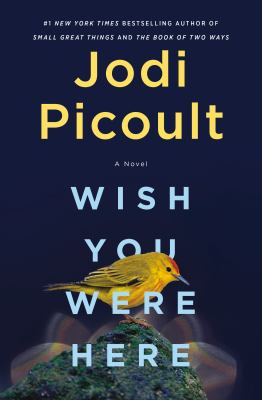 Wish you were here : a novel