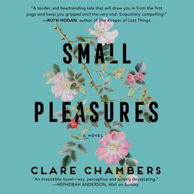 Small pleasures : a novel