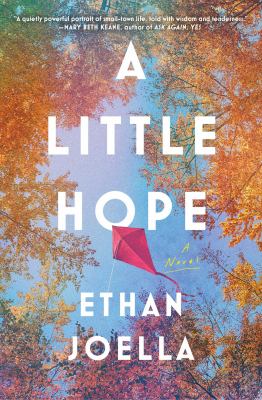A little hope : a novel