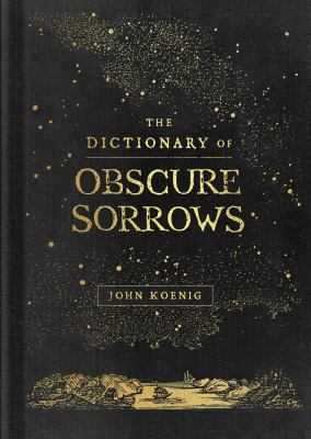 The dictionary of obscure sorrows