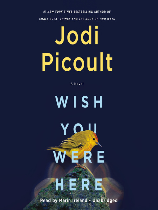 Wish you were here : A novel.