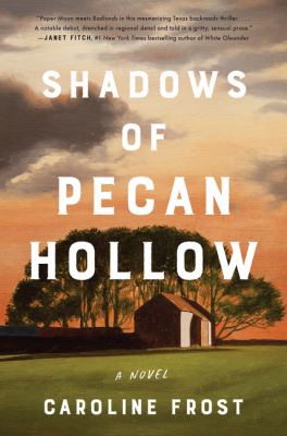 Shadows of Pecan Hollow : a novel