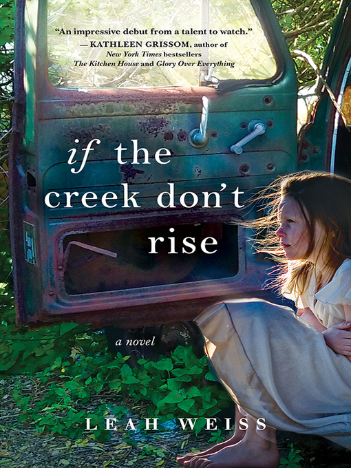 If the creek don't rise : A novel.
