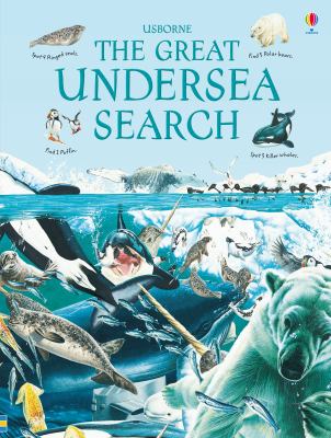 The great undersea search