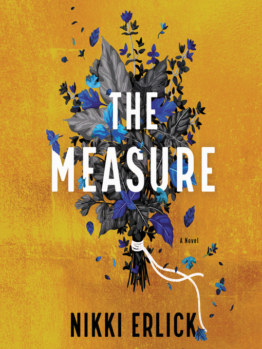 The measure : A novel.