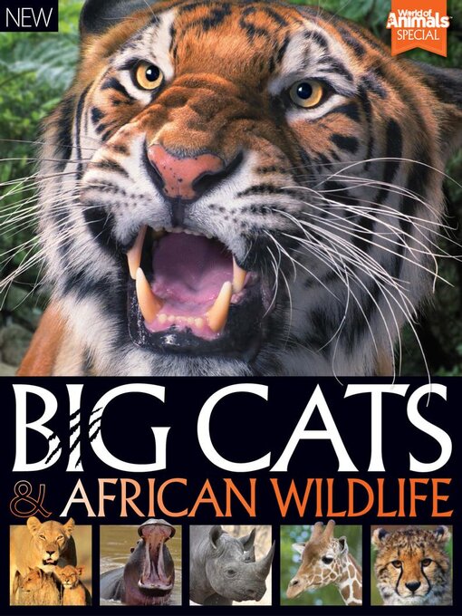 World of animals book of big cats and african wildlife