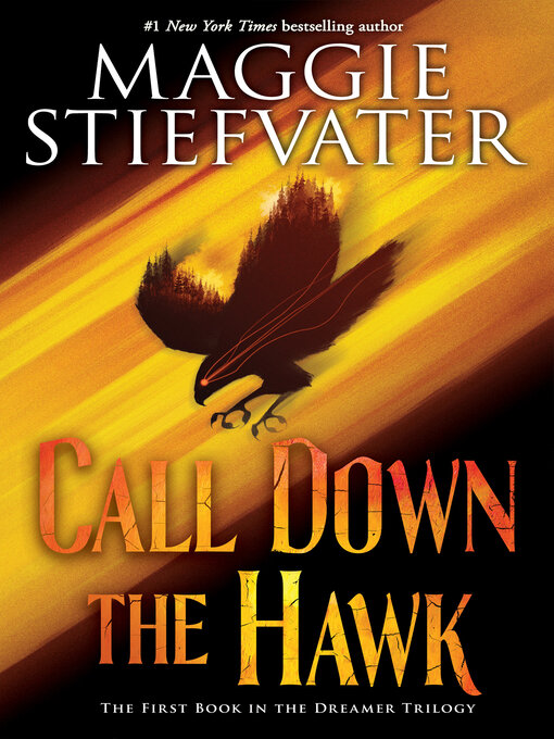 Call down the hawk : Dreamer trilogy, book 1.