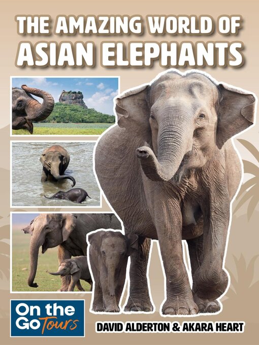 The amazing world of asian elephants