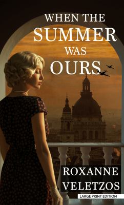 When the summer was ours : a novel