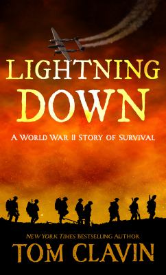 Lightning down : a World War II story of survival