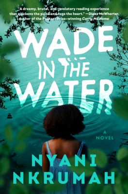 Wade in the water : a novel