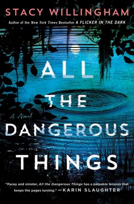 All the dangerous things : A novel.