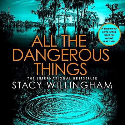 All the dangerous things : A novel.