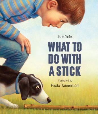 What to do with a stick